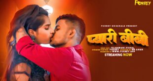 Pyari Biwi 2024 Hindi Fukrey Short Film Watch